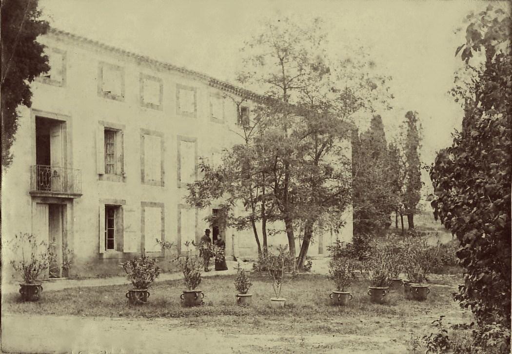 Chambres D'Hotes Domaine Saint-Joly Lasbordes Dış mekan fotoğraf